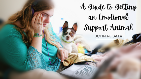 John Rosata A Guide to Getting an Emotional Support Animal