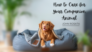 John Rosata How to Care for Your Companion Animal