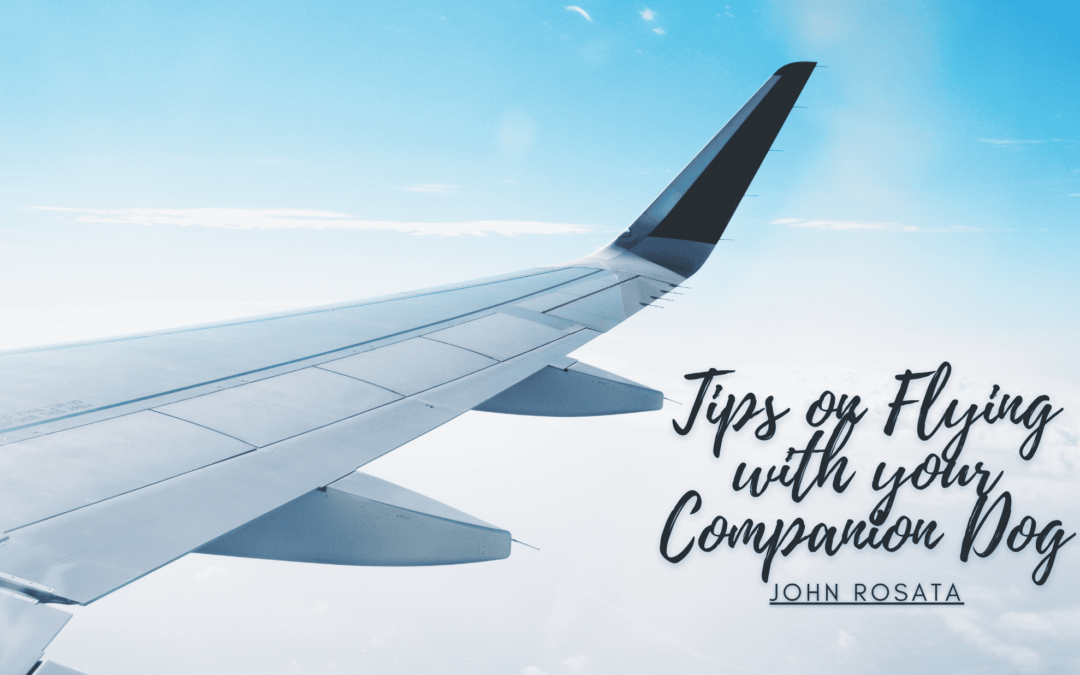Tips on Flying with your Companion Dog